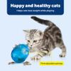 PetSafe FUNKitty Egg Cersizer - Cat Slow Feeder - Interactive Cat Meal Dispensing Toy - Great for Portion Control and Fast Eaters - Improve Digestion - Cat Enrichment and Exercise Toy view 4
