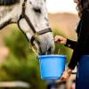 Horse Quencher Single Serving Travel Pack Root Beer view 4