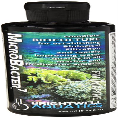 Brightwell Aquatics MicroBacter7 Complete Bioculture for Fish Tank or Aquarium - Populates Biological Filter Media for Saltwater and Freshwater Fish - Aquarium Water Treatments, 8.45 fl oz