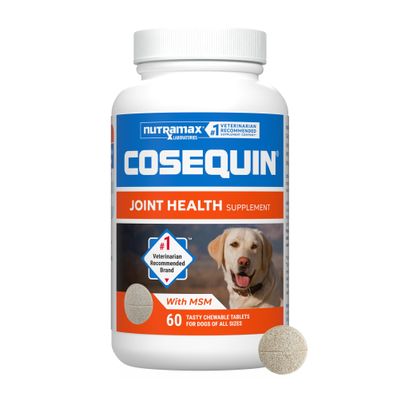Nutramax Cosequin for Dogs Joint Health Supplement, Contains Glucosamine for Dogs, Plus Chondroitin and MSM, Supports Healthy Joints, Chewable Tablets, 60 Count