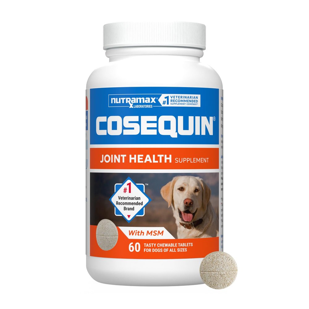 Nutramax Cosequin for Dogs Joint Health Supplement, Contains Glucosamine for Dogs, Plus Chondroitin and MSM, Supports Healthy Joints, Chewable Tablets, 60 Count