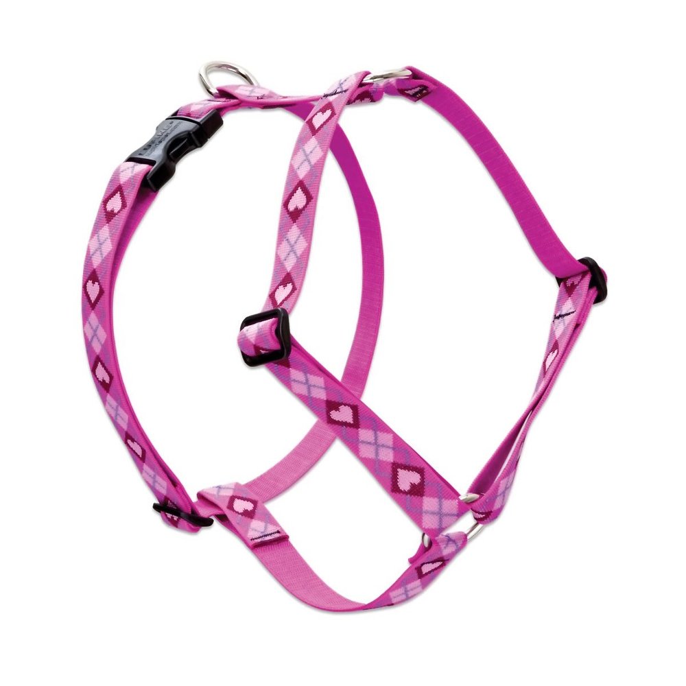 LupinePet Originals 1" Puppy Love 24-38" Adjustable Roman Dog Harness for Large Dogs