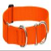 LupinePet Basics 1" Blaze Orange 19-27" Martingale Collar for Large Dogs view 1