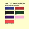 LupinePet Basics 1" Blaze Orange 19-27" Martingale Collar for Large Dogs view 2