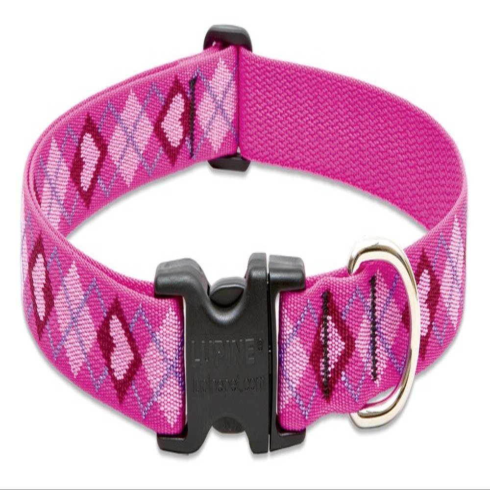 LupinePet Originals 1" Puppy Love 25-31" Adjustable Collar for Extra Large Dogs
