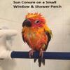 Polly's Portable Window-Shower Perch with Suction Cups for Cockatiels, Macaws, African Greys (Sandy, Small) view 3
