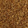 Kaytee Wild Bird Food Mealworms For Bluebirds, Wrens, Robins, Chickadees, Woodpeckers, Cardinals & Chickens, 3.5 Ounce view 3