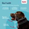 Halti Headcollar - Stop Your Dog Pulling on the Leash. Adjustable, Reflective and Lightweight, with Padded Nose Band. Dog Training Anti-Pull Collar for Medium Dogs (Size 3, Black) view 2