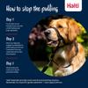 Halti Headcollar - Stop Your Dog Pulling on the Leash. Adjustable, Reflective and Lightweight, with Padded Nose Band. Dog Training Anti-Pull Collar for Medium Dogs (Size 3, Black) view 4