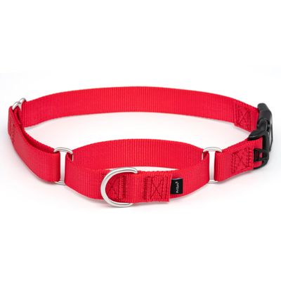 PetSafe Martingale Dog Collar with Quick-Snap Buckle - Large, 1 Inch, Red