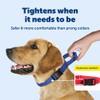 PetSafe Martingale Dog Collar with Quick-Snap Buckle - Large, 1 Inch, Red view 3