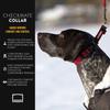 EzyDog Checkmate Martingale Collar for Dogs Premium Nylon Training Dog Collar for Easy Control with no Choking (Medium, Black) view 2
