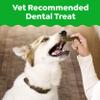 Greenies Veterinarian-Recommended Adult Natural Dental Dog Treats Regular Size, Dog Dental Chews, Original Flavor, 36 oz. Pack, 36 Count view 2