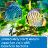 API QUICK START Freshwater and Saltwater Aquarium Nitrifying Bacteria 4-Ounce Bottle view 3