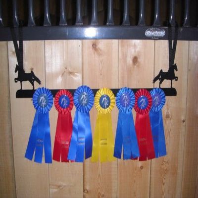 Showoff award racks - Horse (Stall Mount, Saddlebred)