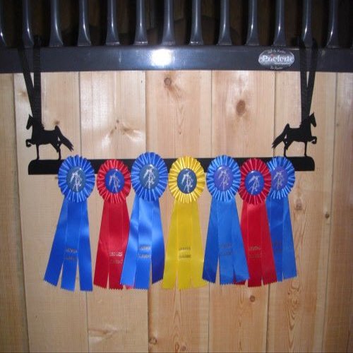 Showoff award racks - Horse (Stall Mount, Saddlebred)