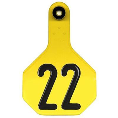 Y-TEX CORPORATION Medium Yellow Number Tag (25 Pack)