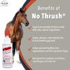 Four Oaks Farm Ventures, No Thrush Dry Powder Treatment for Horses - Wound Care, Scratches, Rain Rot, Mud Fever, Coat Issues - All Natural Ingredients, Non-caustic, Easy to Use Powder Formula (2.5 oz) view 3