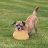 Beco Flyer - Natural Rubber Fetch Frisbee for Dogs - Orange view 3