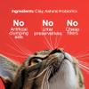 Boxie Extra Strength 35 Day Odor Control Clumping Clay Cat & Kitty Litter 16lb, 99.9% Dust-Free, Probiotic Formula, Long-Lasting, Veterinarian Approved, Easy Scooping for Multi-Cat Homes view 4