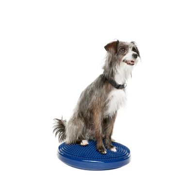 FitPAWS Dog Balance Disc 14, Blue | Dog Exercise Equipment | Workout Tool for Strength, Core, Stability & Rehabilitation