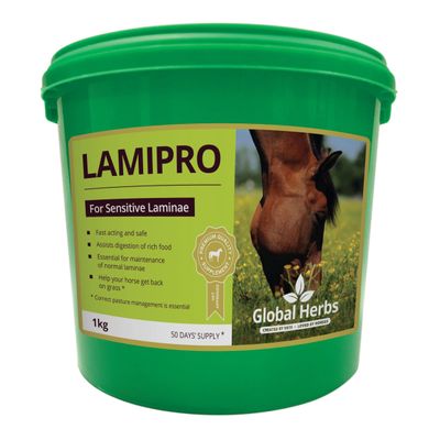 Herbal Supplement for Horses by Global Herbs