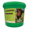 Herbal Supplement for Horses by Global Herbs view 1