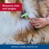 Coastal Pet Safari Double Row Undercoat Rake - Gentle Dematting and Deshedding Grooming Comb for Dogs view 4