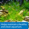API AQUARIUM START UP PACK Water Conditioner 1.25-Ounce Bottle 2-Pack view 3
