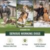 Adventure Medical Kits Workin' Dog Medical Kit with QuikClot - Canine Field First Aid Kit with Headlamp, Bandages, Cold Pack, Leash, Instruction Manual & More - Compact Dog Emergency Kit view 2