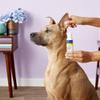 Miracle Care Ear Powder for Dogs and Cats, 96 Grams, Aids Hair Removal from Ear Canal, Keeps Ears Dry, Reduces Odor and Waxy Build Up view 4
