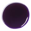 exhibitor's Quic Silver 64 Ounce Color Intensifying Shampoo, Purple, 1.0 Count (321164) view 3