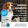 HomeoPet Cough, Safe and Natural Cough Supplement for Dogs, Cats, and Small Pets, 15 Milliliters view 3
