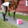 Absorbine Bigeloil Liniment, 32oz, Topical Pain Relief Liquid view 3