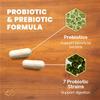 VetriScience Extra Strength Gut Health Easy-Open Capsules, Mega Probiotic and Prebiotic Digestive Supplement for Dogs and Cats, for Diarrhea and Immune Support, 7.5 Billion CFU Per Capsule, 120 Count view 3