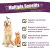 Amber NaturalZ DermaNERV Herbal Supplement for Dogs, Cats, Birds, Rabbits, and Guinea Pigs | Supports Central Nervous System | Balanced Behavior | Healthy Nerve Functions 1 Fluid Ounces view 2