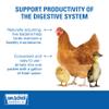 Sav-A-Chick Probiotic Supplement | 1 strip (3 - 0.17 oz packets) view 4