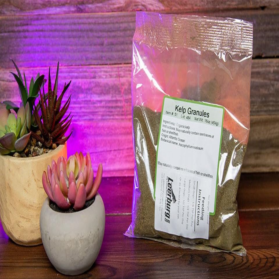 Norwegian Kelp Powder for Dogs