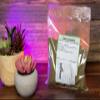 Norwegian Kelp Powder for Dogs view 1