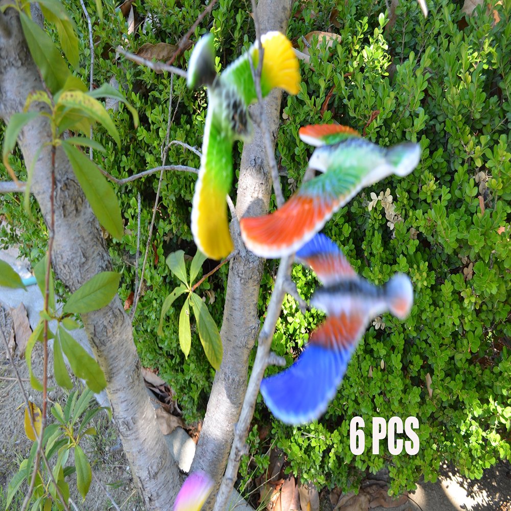 C&H Solutions 6 Pcs Balancing Bird of CNH Toy 6.5 Inch Wing Span-Colors May Vary