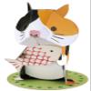 hacomo Mini cat view 1