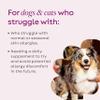 Super Snouts Super Shrooms Mushroom Immune Support Supplement for Dogs and Cats, 2.64 oz - Made in USA Organic Non-GMO, Immune Health for Strong Immunity, 7 Mushroom Blend Powder view 2