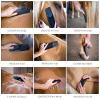 StripHair Gentle Groomer - Original for Horses Dogs 6-in-1 Shedding Grooming Massage Tool (Black) view 3