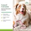 Terry Naturally Curacel Curcumin - Health Supplement for Dogs - Pet Curcumin Dog Supplies - Cellular Health Supplement with Antioxidants - 60 Softgels view 3