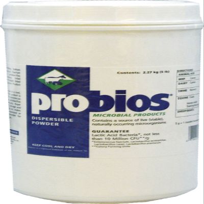 Vets Plus PROBIOS D Probios Dispersible Powder 5 Pound