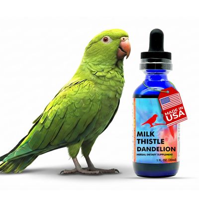 Morning Bird Milk Thistle & Dandelion Extract 1 fl oz Organic Herbal Supplement for Birds Supports Liver Health & Natural Detox Suitable for All Bird Species