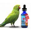 Morning Bird Milk Thistle & Dandelion Extract 1 fl oz Organic Herbal Supplement for Birds Supports Liver Health & Natural Detox Suitable for All Bird Species view 1