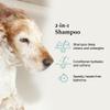 iGroom All-in-One Dog Shampoo + Conditioner, Luxury Pet Beauty Care, Deep Clean All Coat Types, Hydrate and Condition Coat, Made in the USA, 16 oz view 3