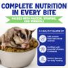 Suncoast Sugar Gliders - Happy Glider Premium Sugar Glider Food - High Protein, Calcium & Vitamins, Complete Nutrition for Small Animals & Exotic Pets, 2 Months Supply - Honey & Marshmallow, 1.5 lbs view 2