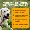 1-TDC WorksSoWell IP-6 Immune Support for Dogs 240 V-Caps Helps Promote Healthy Bones, Teeth, Kidney, Liver Functions and Cardiovascular Health Total Body Health and Immunity view 2